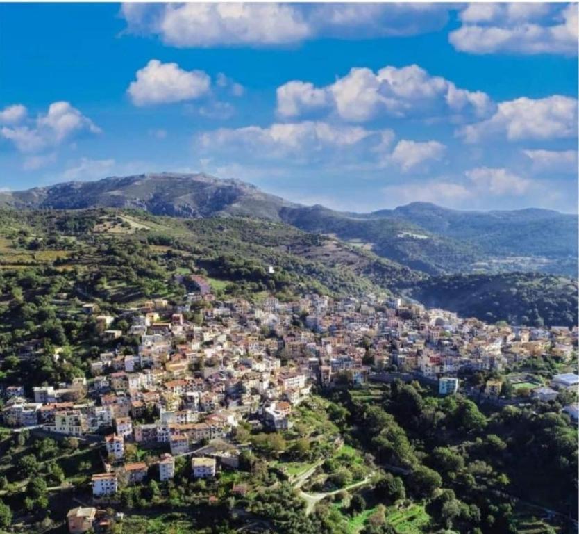 New! La Ginestra,Casa Vacanze Bifamiliare In Montagna-Seulo Sardegna Ngoại thất bức ảnh
