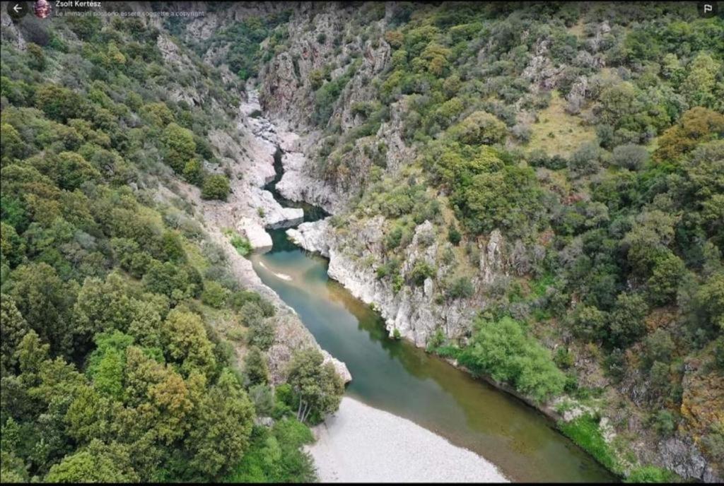 New! La Ginestra,Casa Vacanze Bifamiliare In Montagna-Seulo Sardegna Ngoại thất bức ảnh