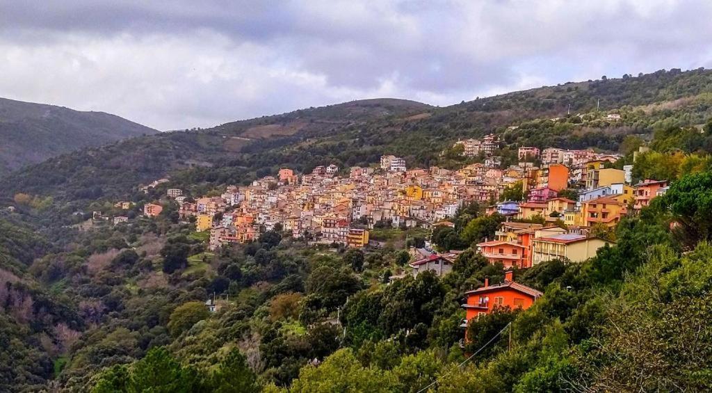 New! La Ginestra,Casa Vacanze Bifamiliare In Montagna-Seulo Sardegna Ngoại thất bức ảnh