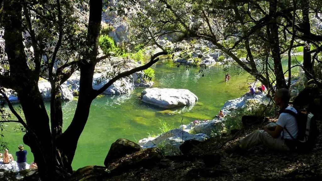 New! La Ginestra,Casa Vacanze Bifamiliare In Montagna-Seulo Sardegna Ngoại thất bức ảnh