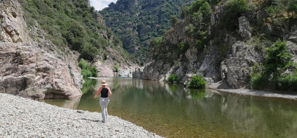 New! La Ginestra,Casa Vacanze Bifamiliare In Montagna-Seulo Sardegna Ngoại thất bức ảnh